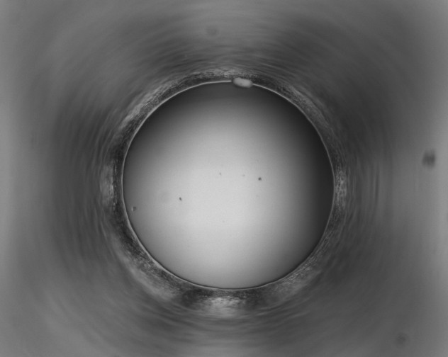 X0000116770158200912171541