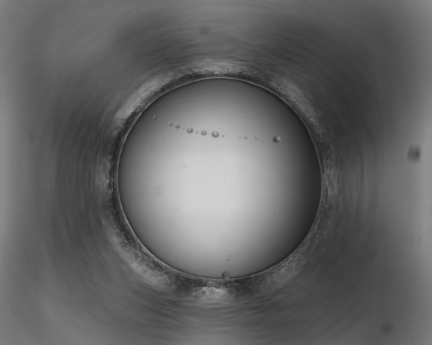 X0000116770159200912171541