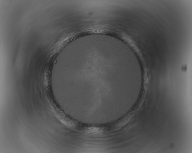 X0000116770161200912171541