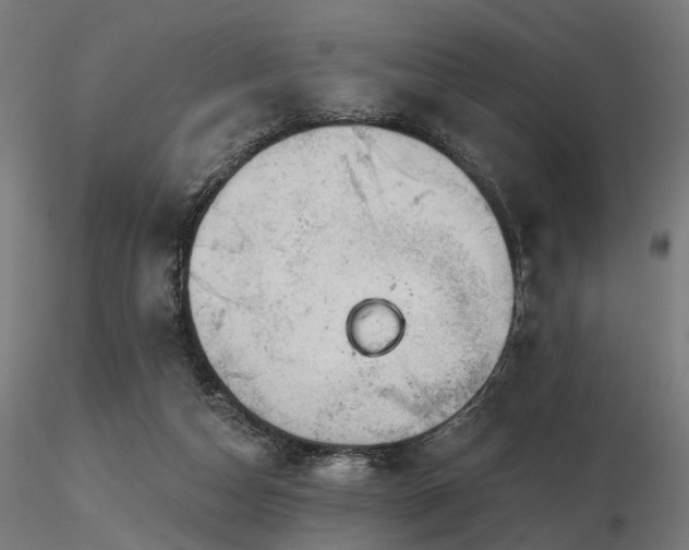 X0000116770162200912171541