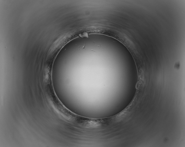 X0000116770166200912171541