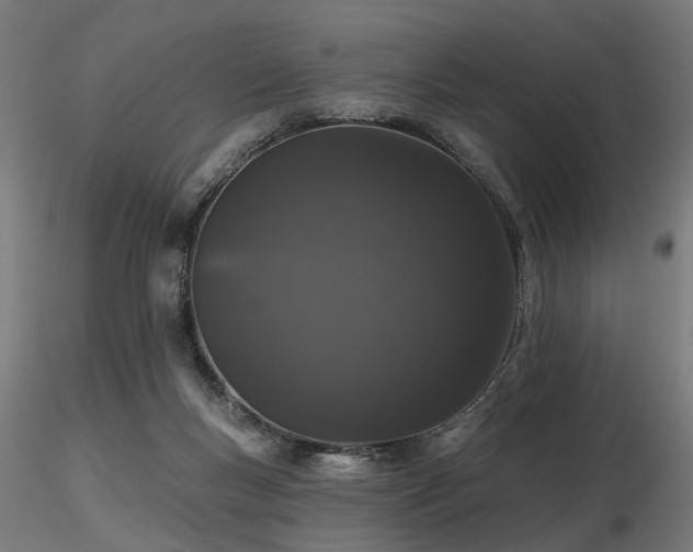 X0000116770167200912171542