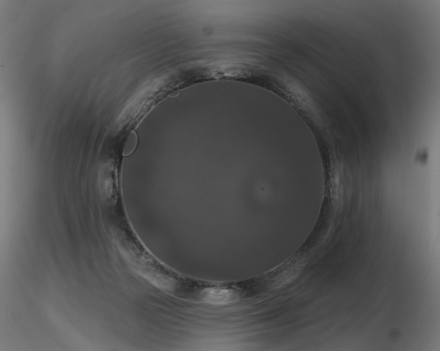 X0000116770169200912171542