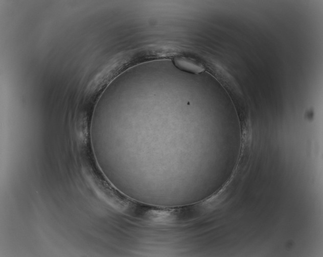 X0000116770170200912171542