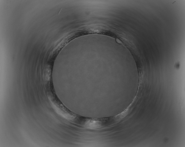 X0000116770174200912171542