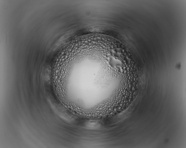 X0000116770175200912171542