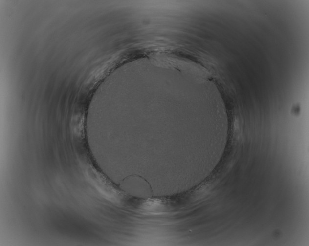X0000116770177200912171542