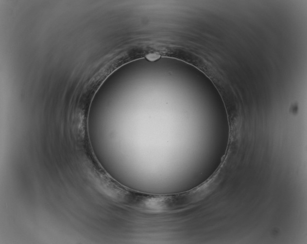 X0000116770178200912171542