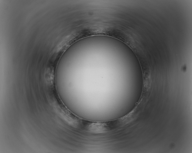 X0000116770179200912171542