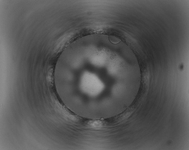 X0000116770181200912171542