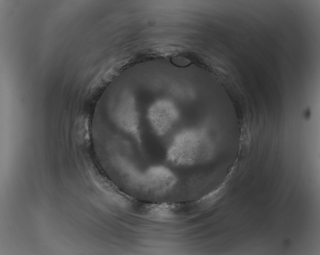 X0000116770182200912171542