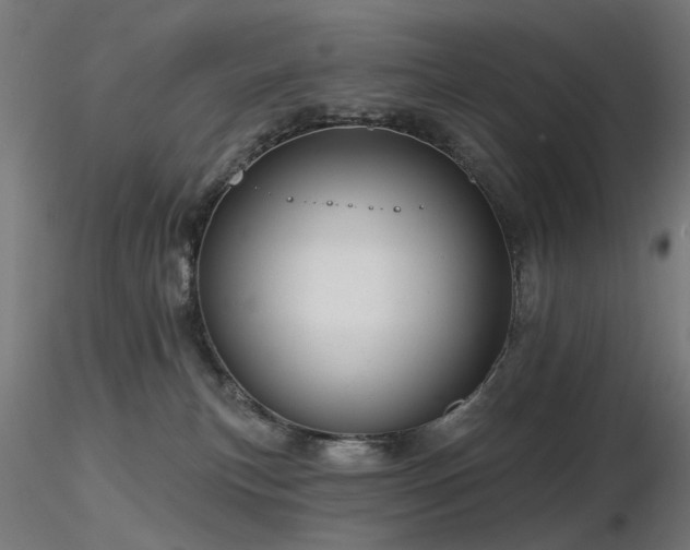 X0000116770183200912171542