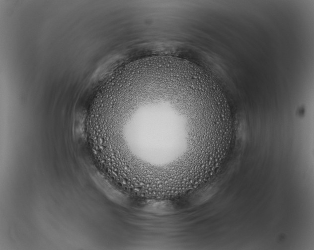 X0000116770185200912171542