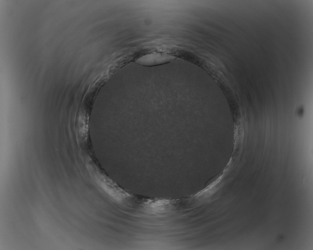 X0000116770186200912171542