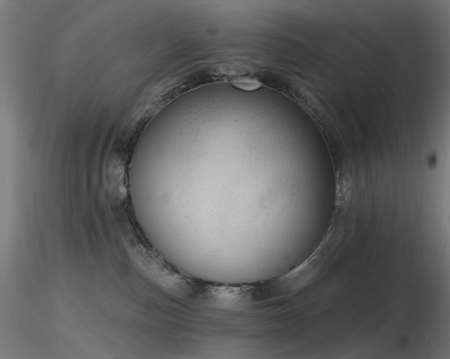 X0000116770187200912171542