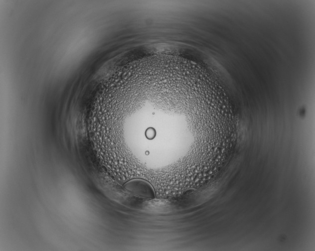 X0000116770189200912171542