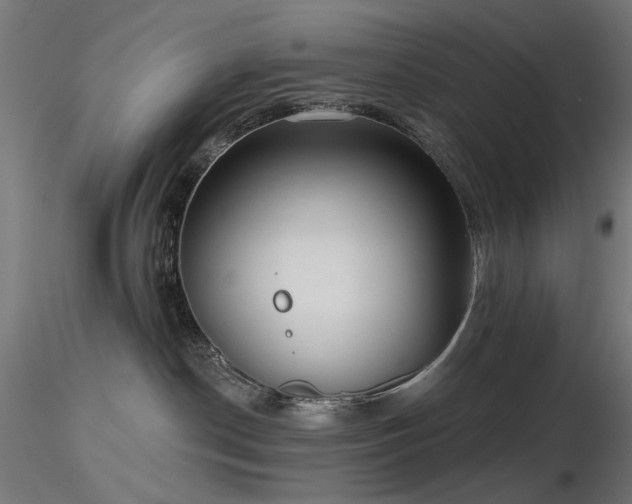 X0000116770190200912171542