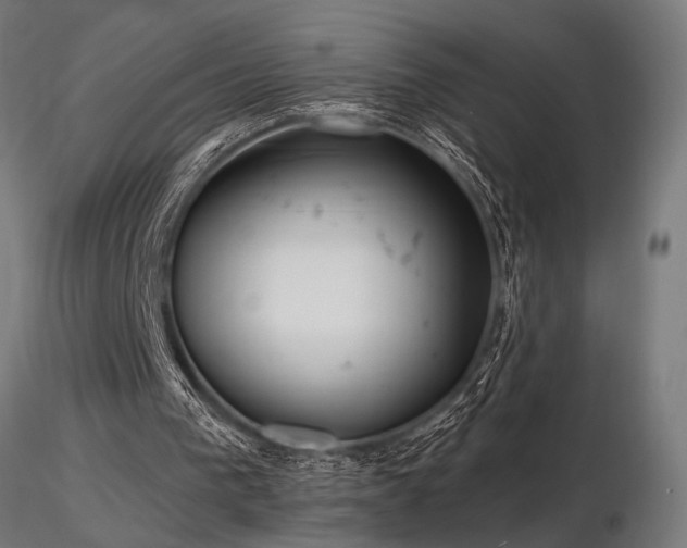 X0000116770193200912171541