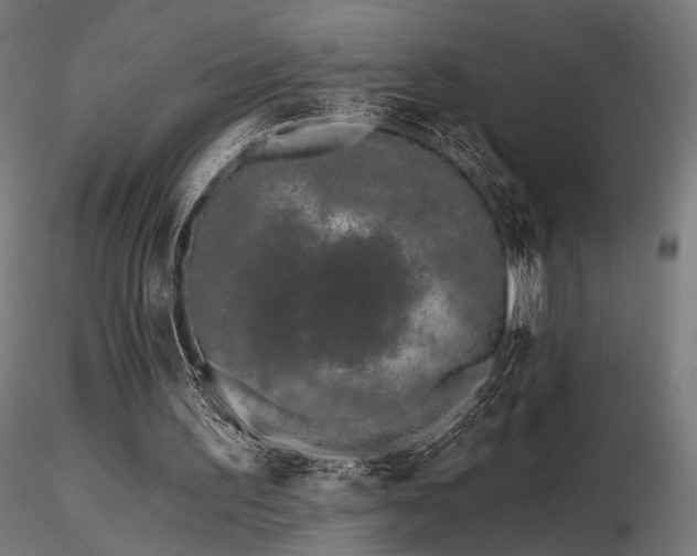 X0000116770195200912171541
