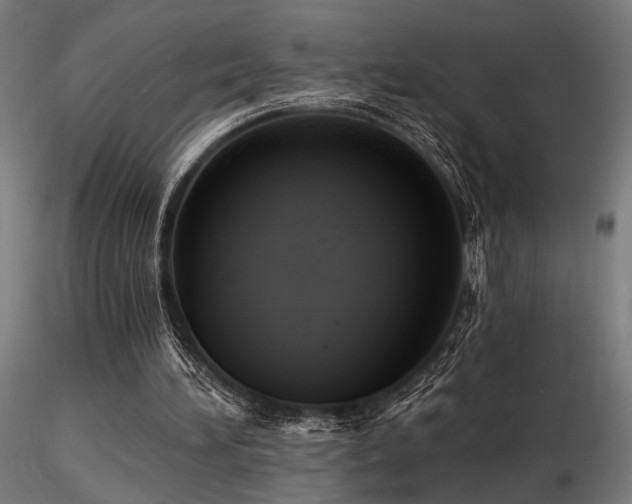 X0000116770196200912171541