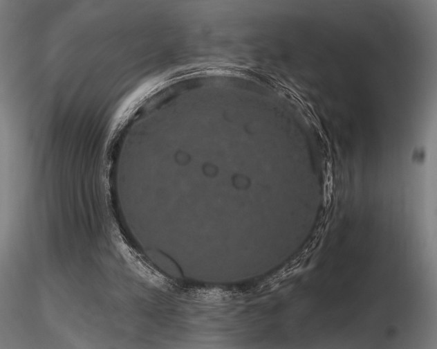 X0000116770197200912171541