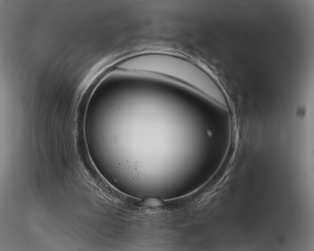 X0000116770199200912171541