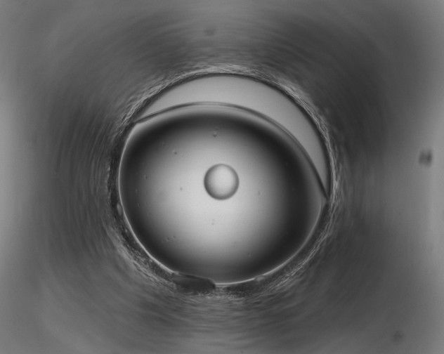 X0000116770201200912171541