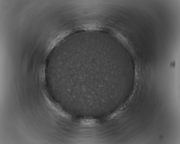 X0000116770202200912171541