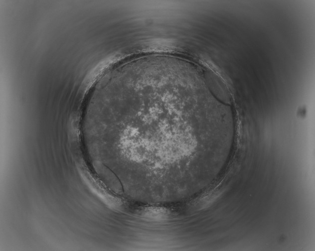 X0000116770203200912171541
