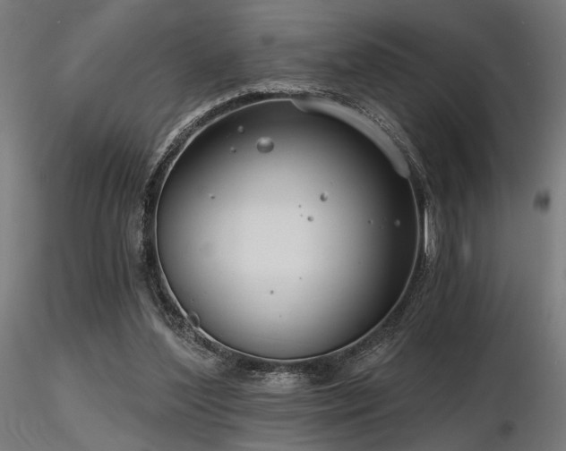 X0000116770204200912171541
