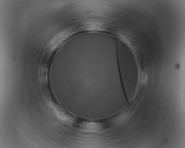 X0000116770205200912171541