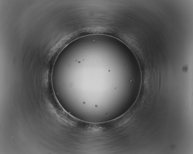 X0000116770206200912171541