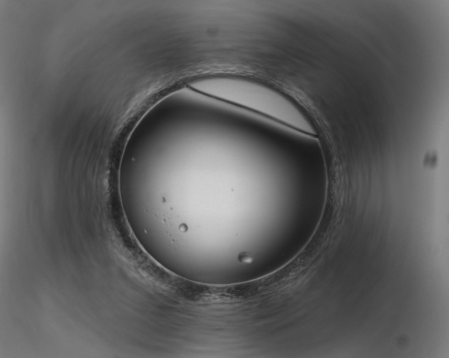 X0000116770207200912171541