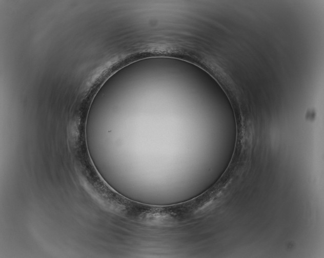 X0000116770208200912171541