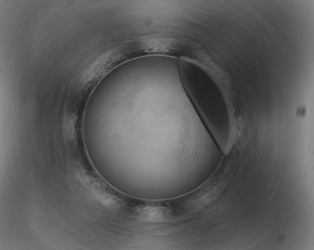 X0000116770209200912171541