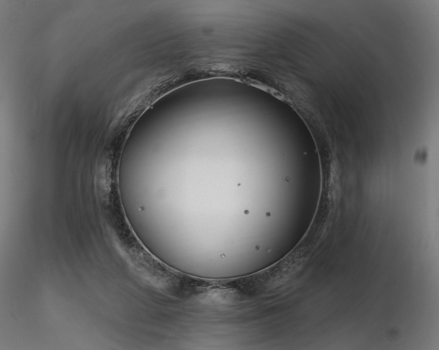 X0000116770210200912171541