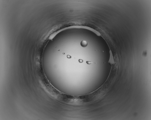X0000116770212200912171541