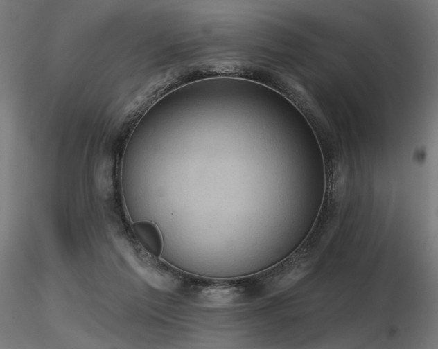 X0000116770213200912171541