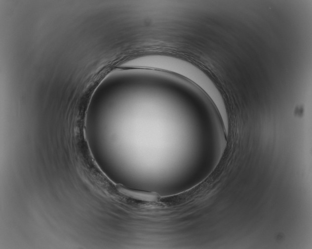 X0000116770215200912171541