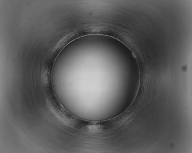 X0000116770216200912171541