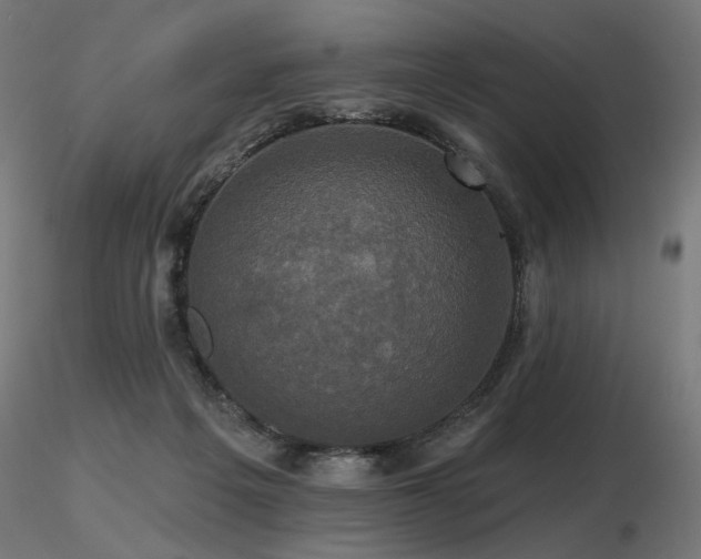 X0000116770217200912171541