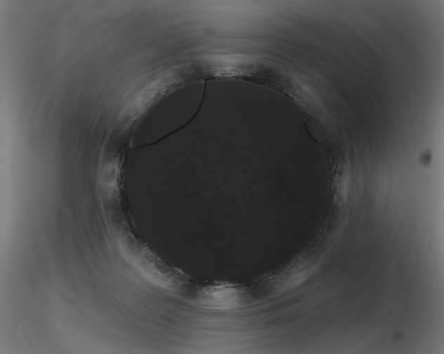 X0000116770219200912171541