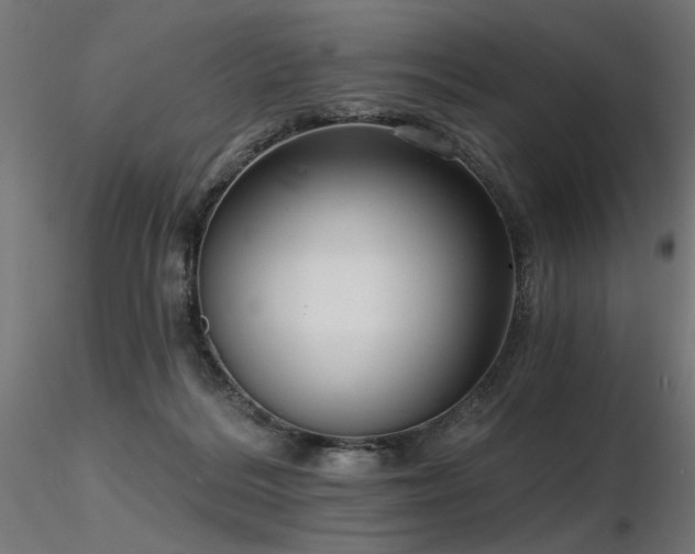 X0000116770220200912171541