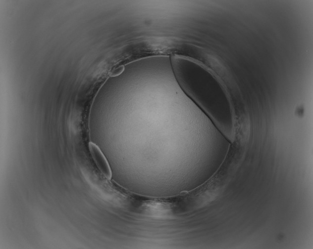 X0000116770221200912171541