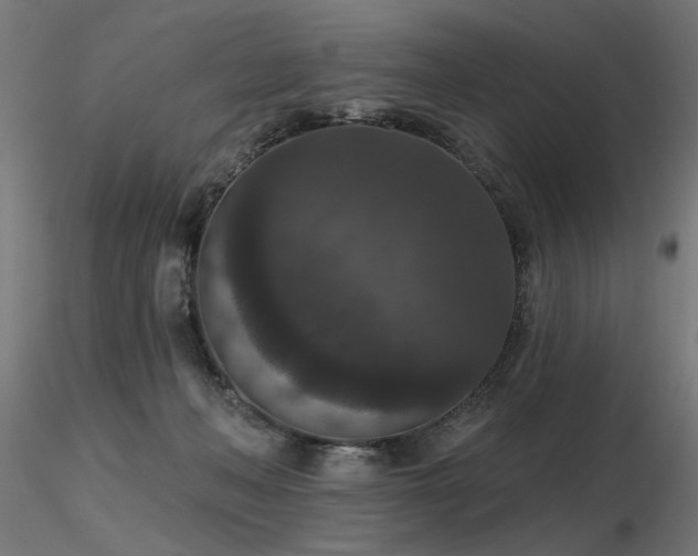 X0000116770222200912171541