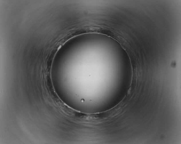 X0000116770223200912171541