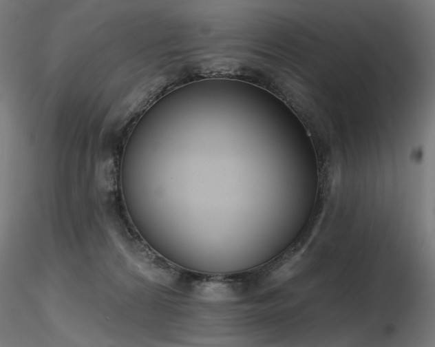 X0000116770224200912171541