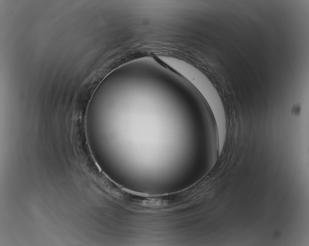 X0000116770225200912171541