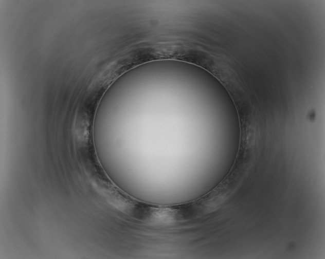 X0000116770226200912171541