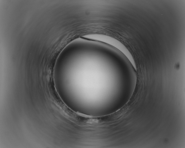 X0000116770227200912171541